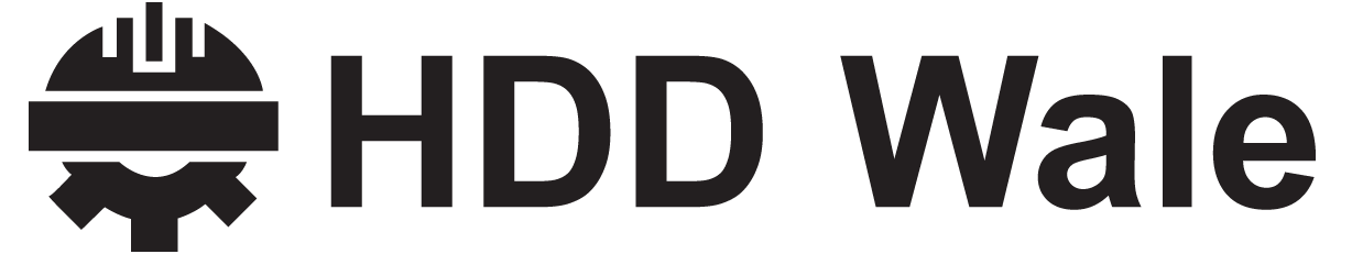 website logo
